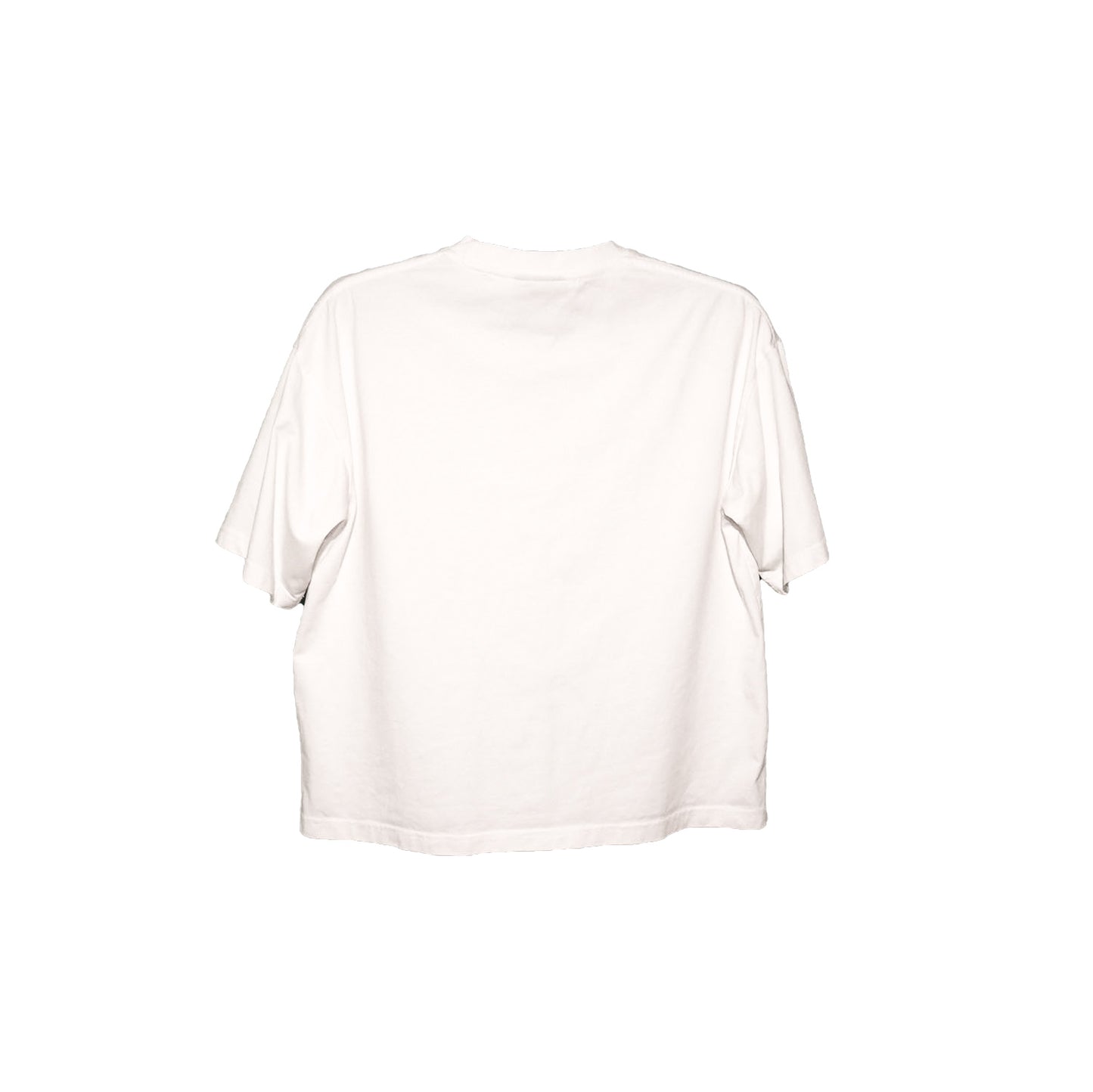 AY LOGO TEE